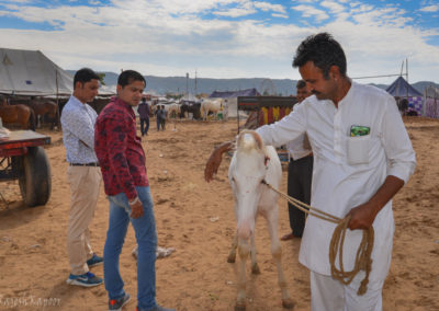 Buyer-seller at Pushkar