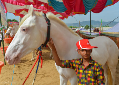 Pushkar Fair