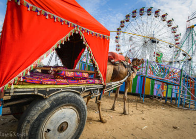 A camel cart at Pushkar