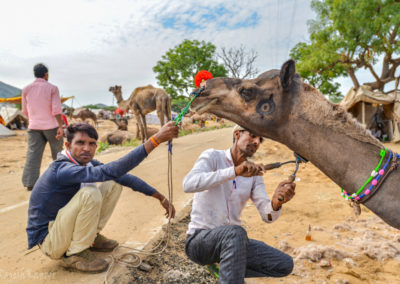 Beard trim at Pushkar