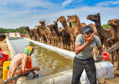 Cleaning up at Pushkar Fair