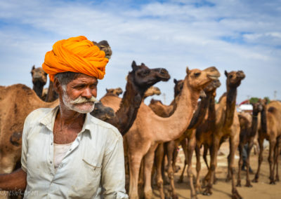 Camel herder at Pushkar