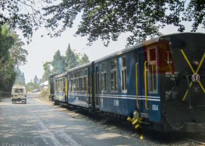 Toy Train at Darjeeling