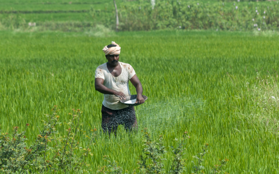 Taking Care of the Crop