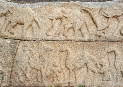 Relief of Animals