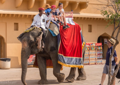 Elephant Ride to the Amer Fort