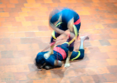 Kalaripayattu Demonstration