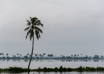 Kerala Landscape