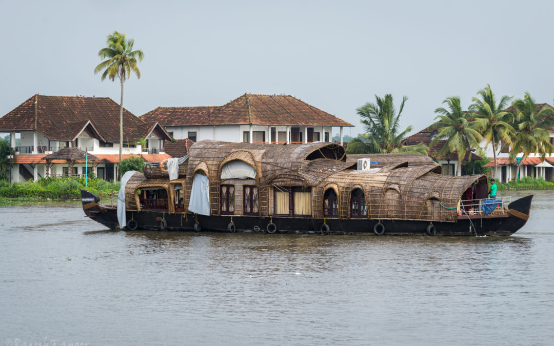 Life in the Backwaters