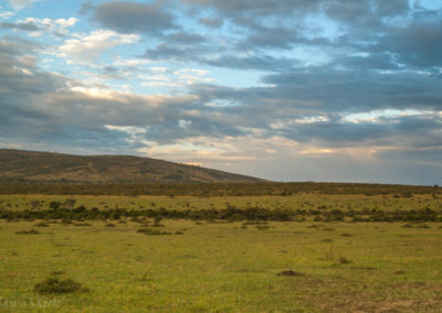 Masai Mara Landscape