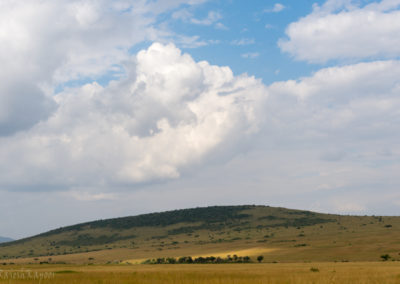 Masai Mara Landscape