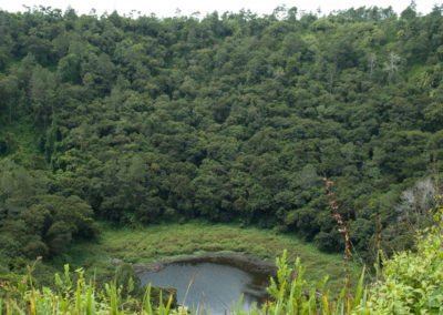 Volcano Crater in Mauritius