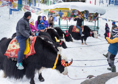 Tsomgo Lake, Gangtok